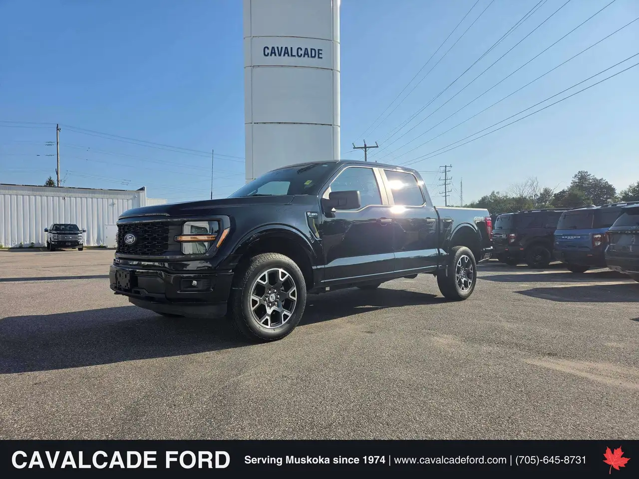 2024 Ford F-150 STX