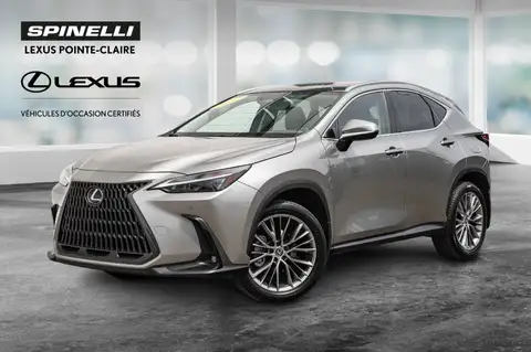 Lexus NX 350 Luxury
