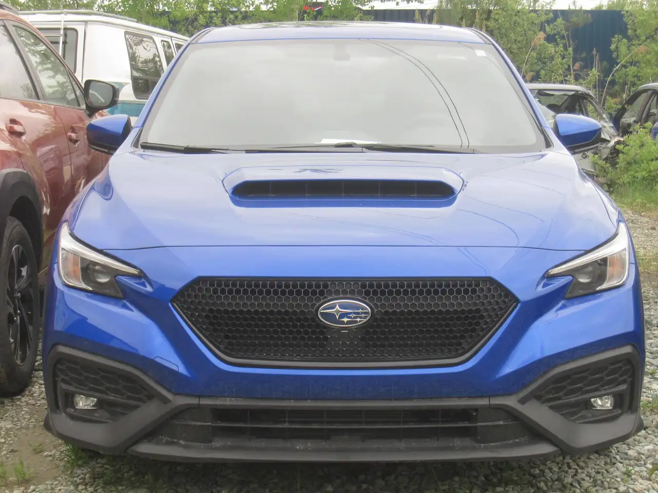 2023 Subaru WRX