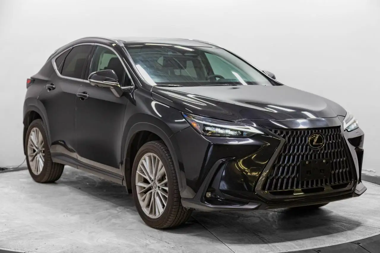2025 Lexus NX Ultra Luxury