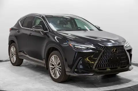 Lexus NX Ultra Luxury