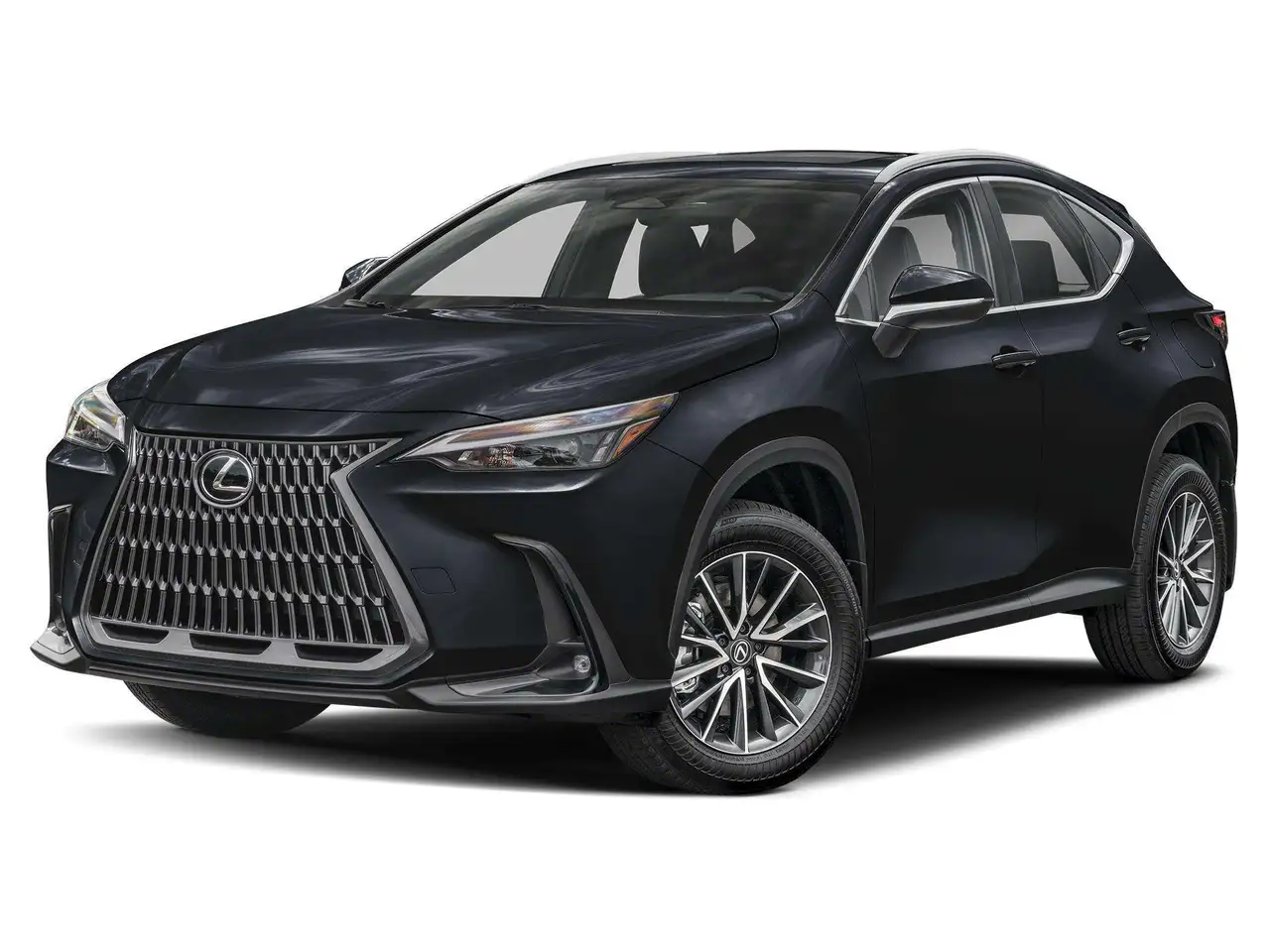 2024 Lexus NX