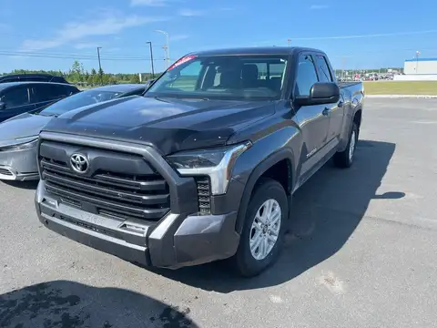 Toyota Tundra SR