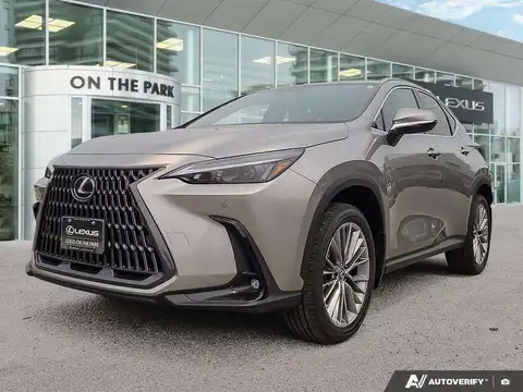 Lexus NX 350 Luxury