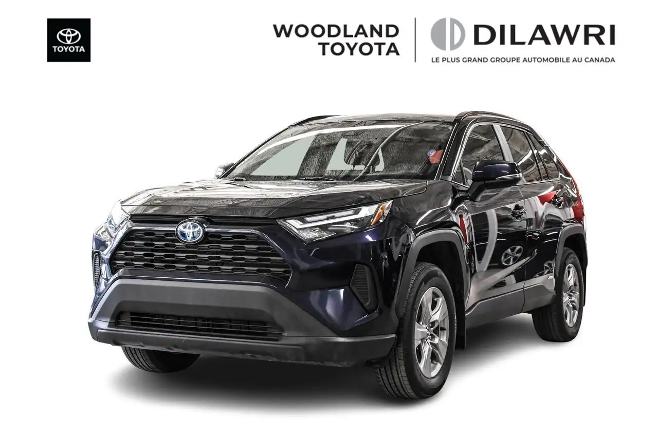 2024 Toyota RAV4 XLE