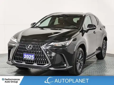 Lexus NX 350 Premium