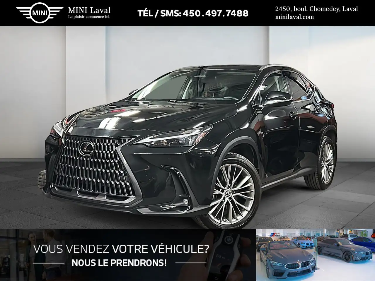 2023 Lexus NX 350 Premium