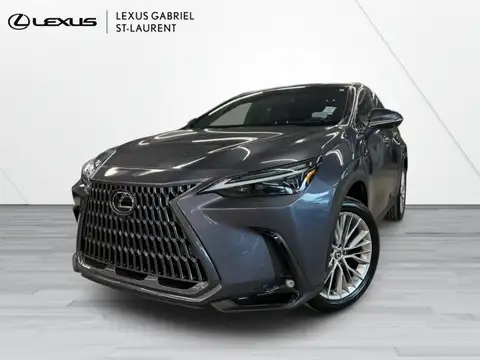 Lexus NX 350 Ultra Luxury