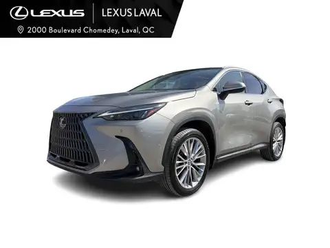 Lexus NX 350 Luxury