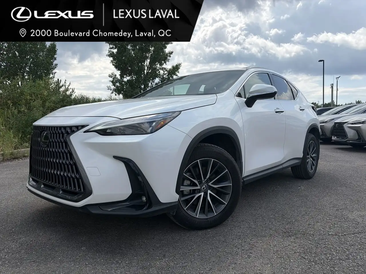 2025 Lexus NX 350 Premium