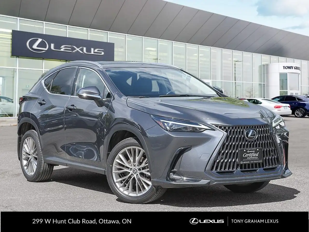2024 Lexus NX 350