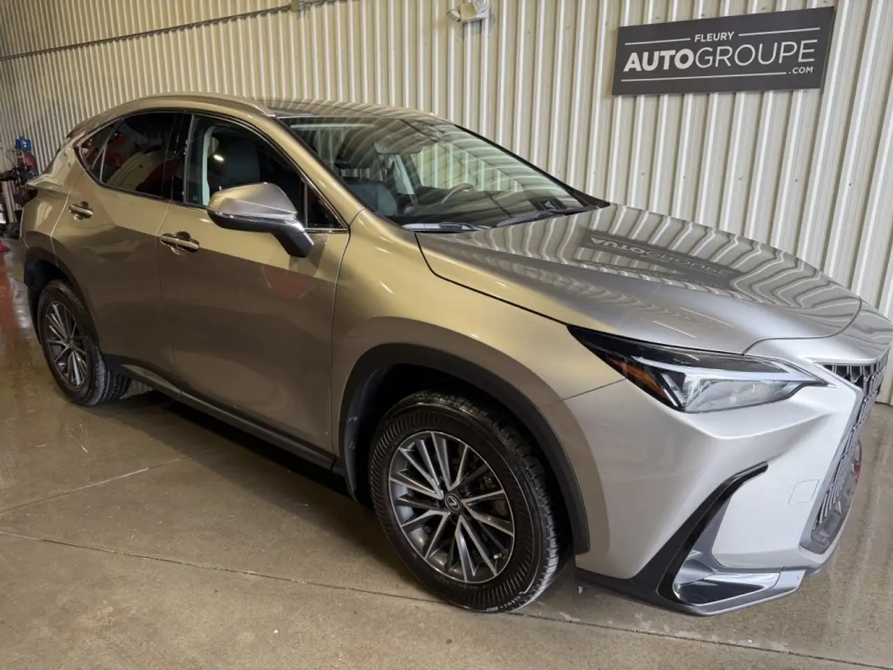 2022 Lexus NX 350h Signature