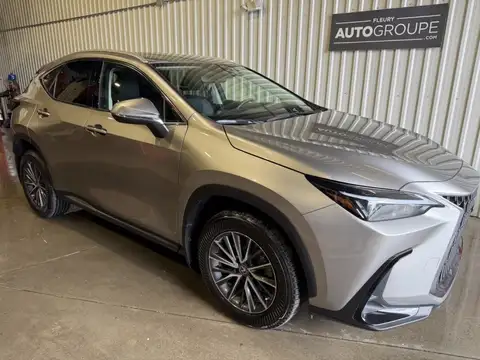 Lexus NX 350h Signature