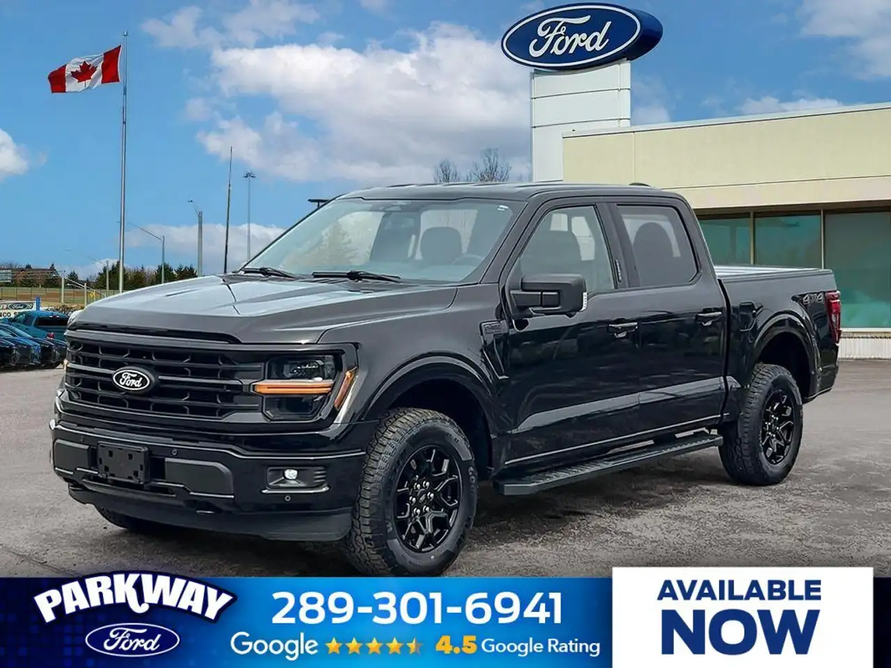 2024 Ford F-150 XLT