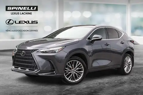 Lexus NX 350 Luxury