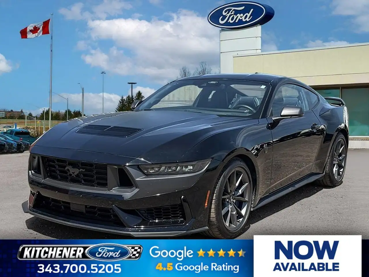 2024 Ford Mustang Dark Horse