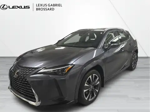 Lexus UX 300h Premium
