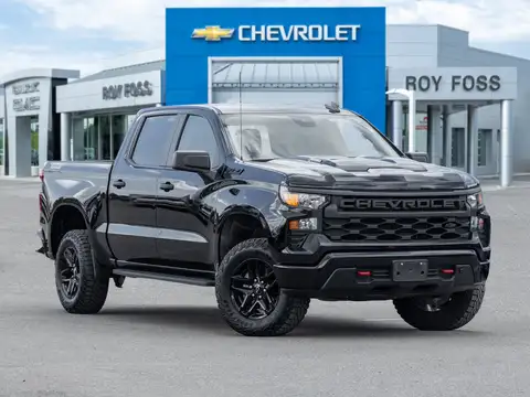 Chevrolet Silverado 1500 Custom Trail Boss