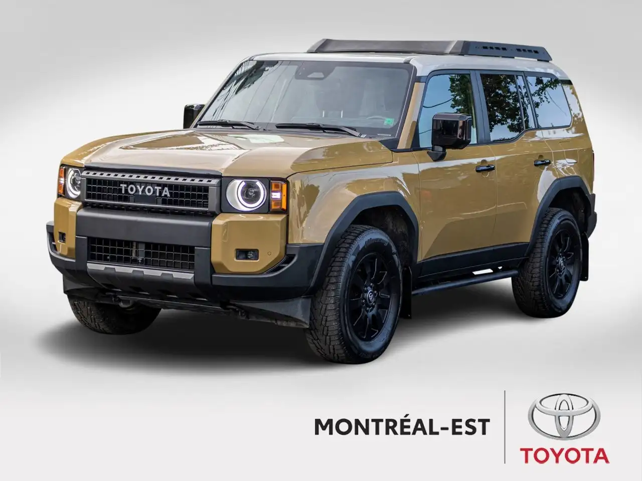2024 Toyota Land Cruiser