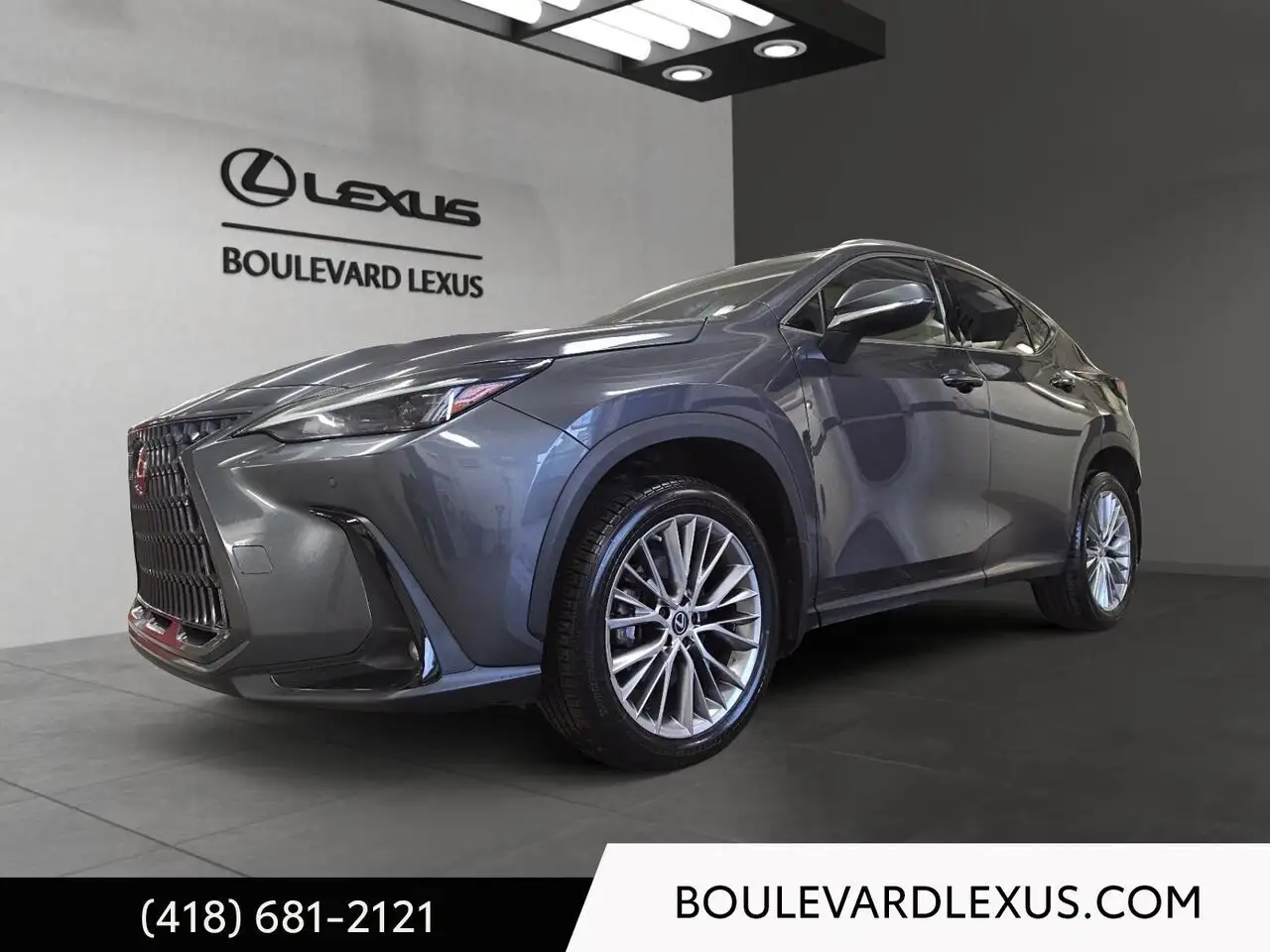 2023 Lexus NX 350 Luxury