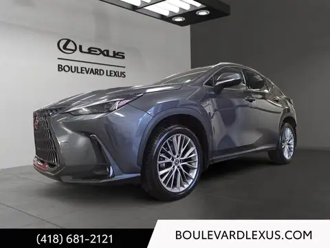Lexus NX 350 Luxury
