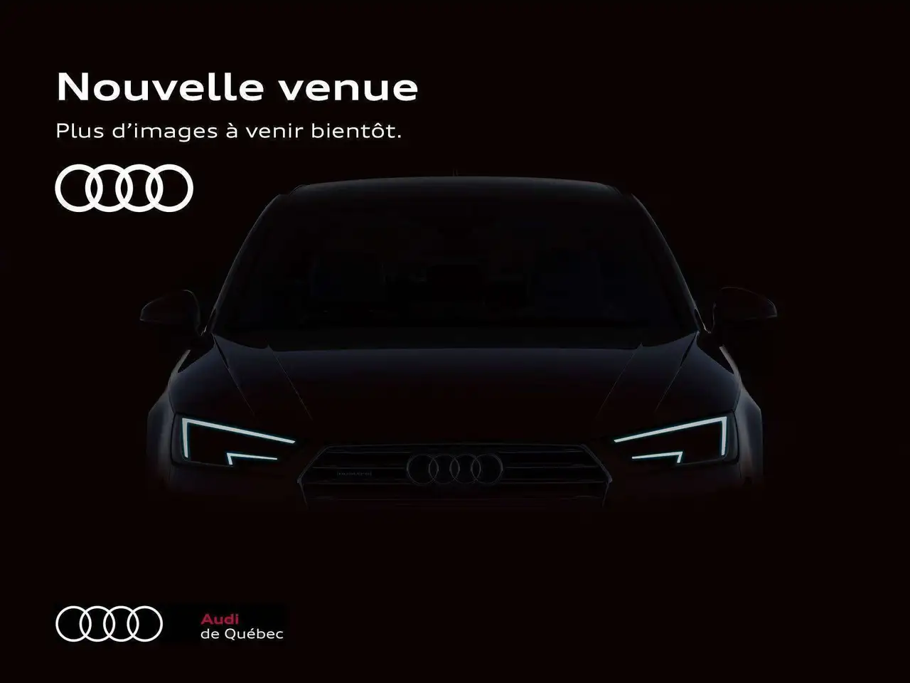 2025 Audi Q5 Progressiv