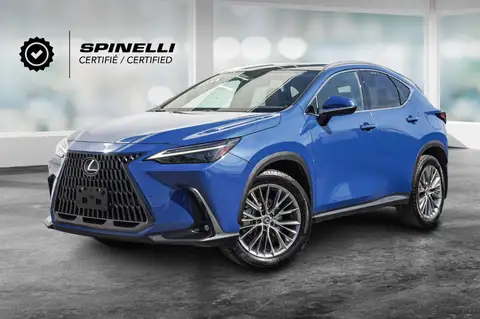 Lexus NX 350 Ultra Luxury