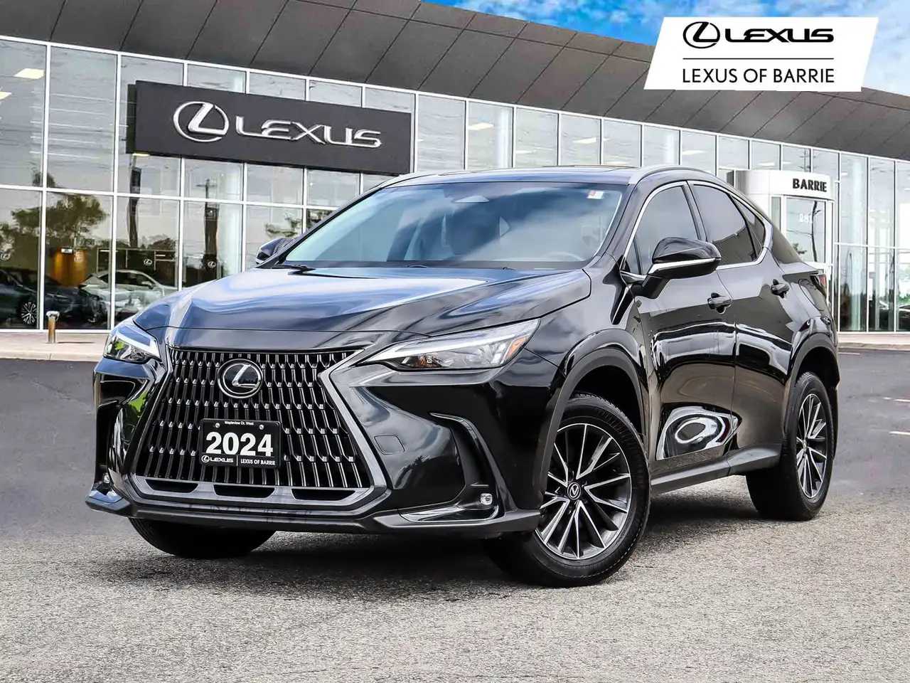 2024 Lexus NX 350