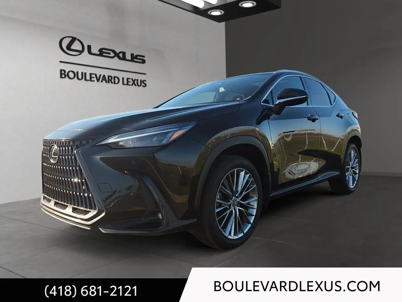 2022 Lexus NX 350h Luxury