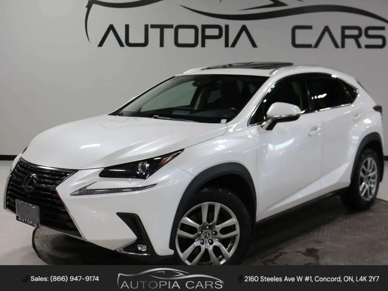 2021 Lexus NX 300 Premium