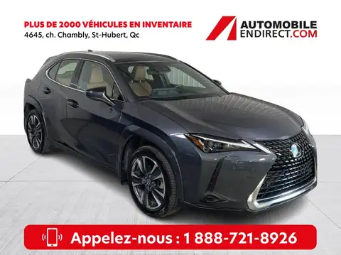 Lexus UX 250h Luxury