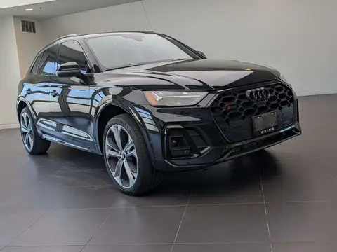 Audi SQ5 Technik