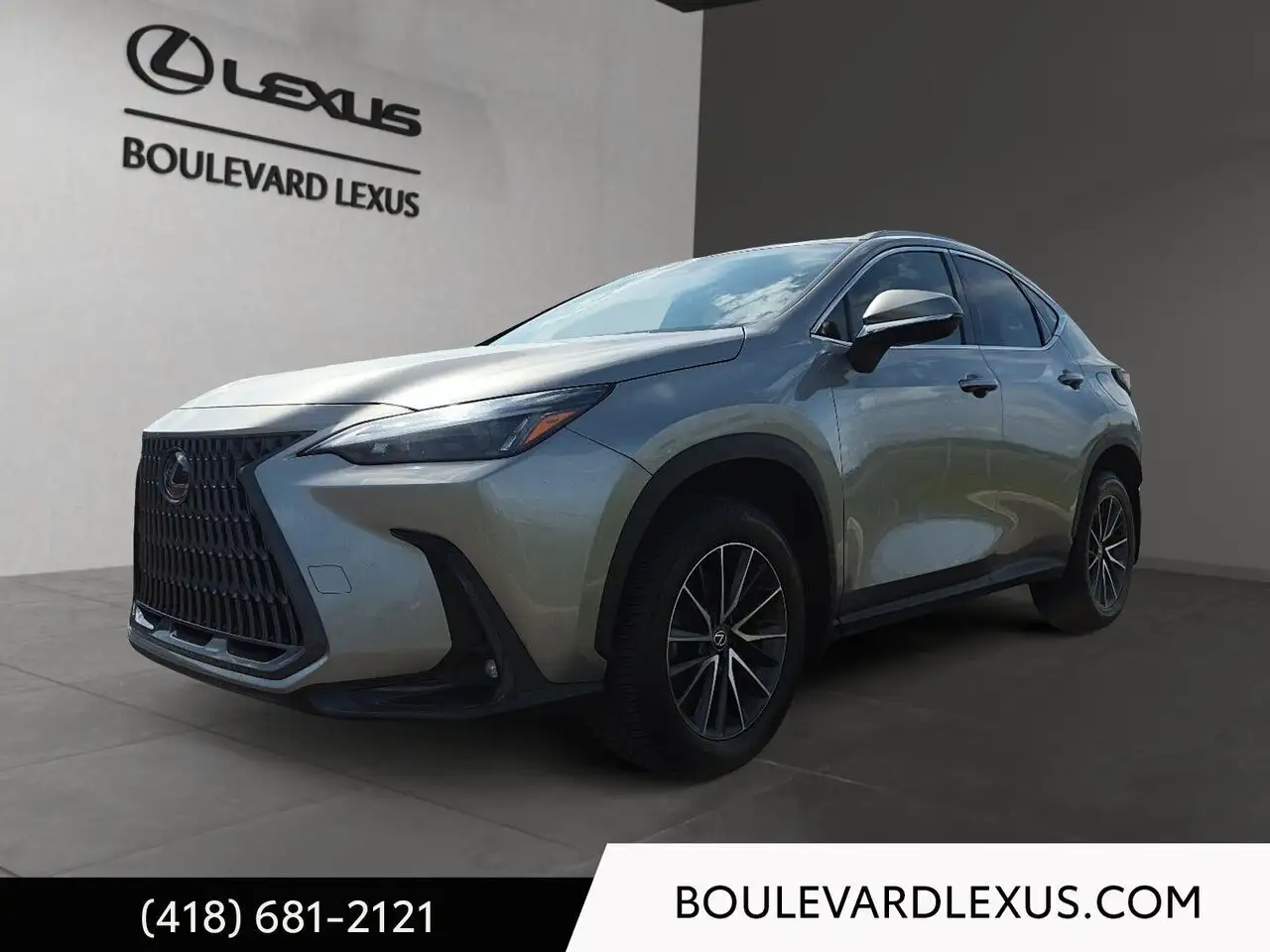 2024 Lexus NX 350h Premium
