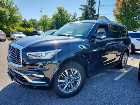 Infiniti QX80 Luxe