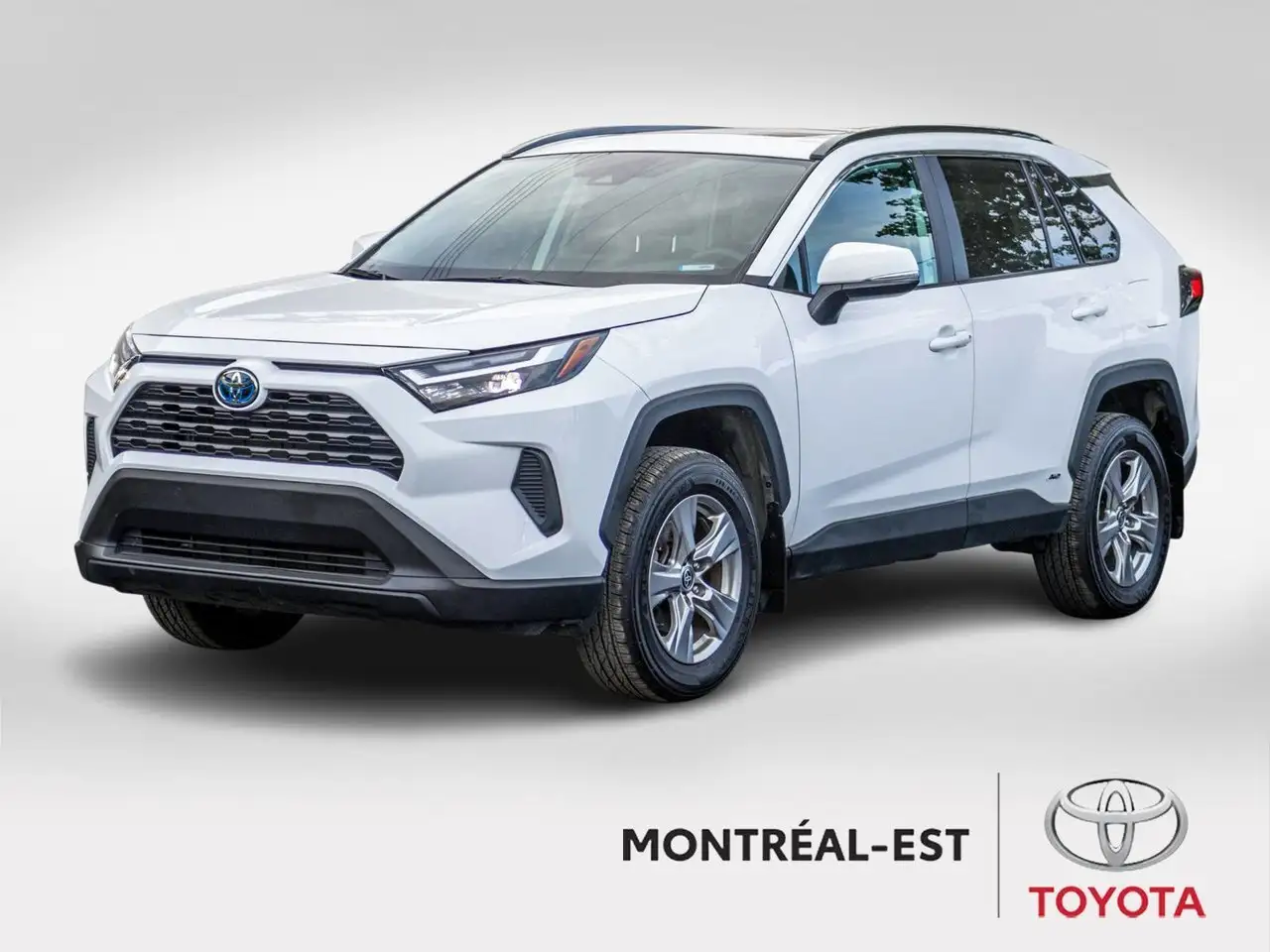 2023 Toyota RAV4 XLE