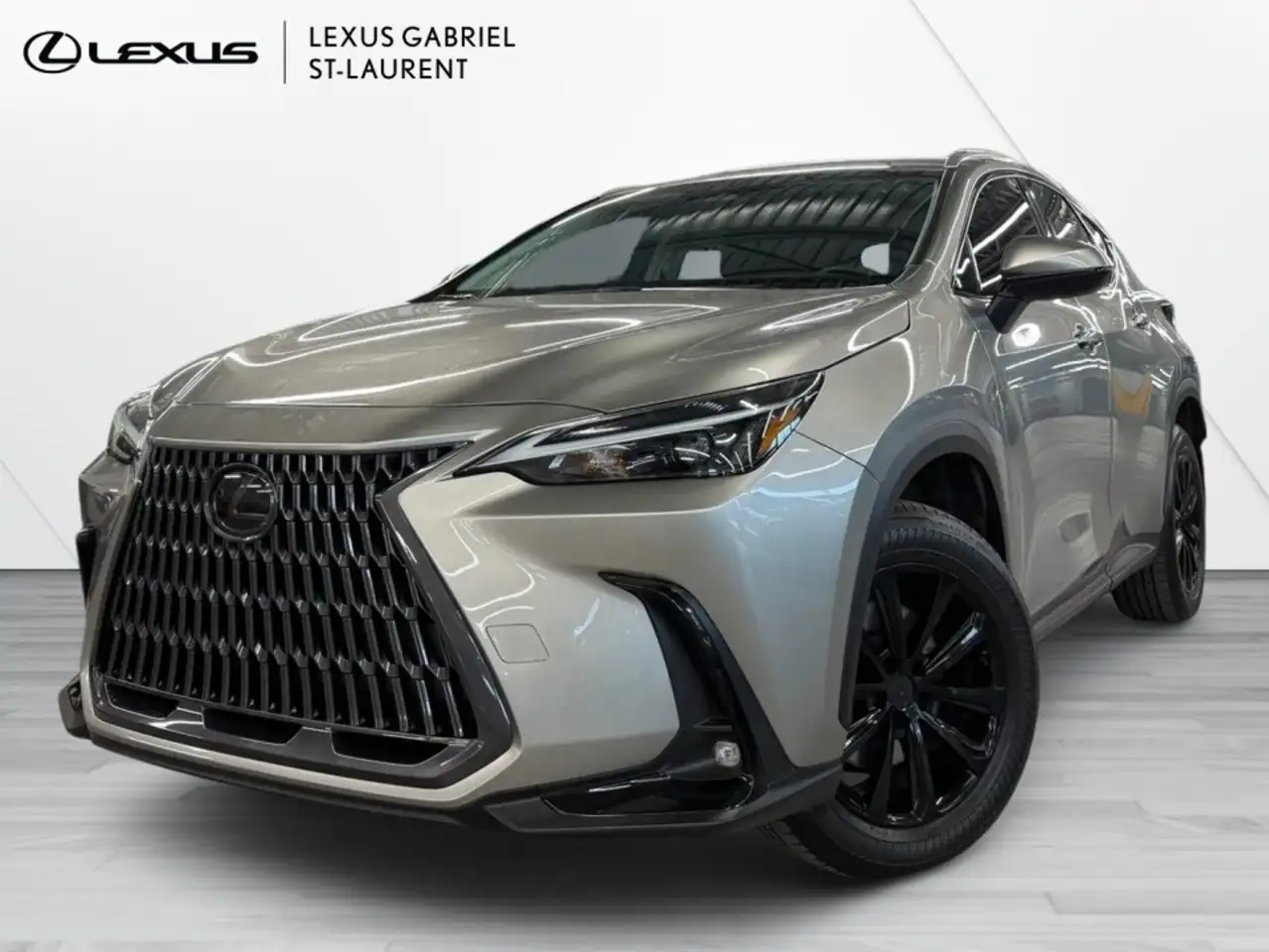 2022 Lexus NX 350h Signature