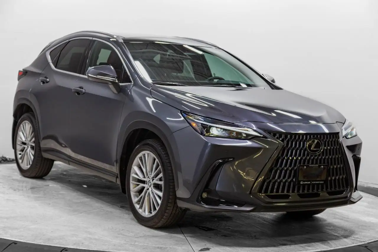 2025 Lexus NX Luxury