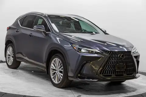 Lexus NX Luxury
