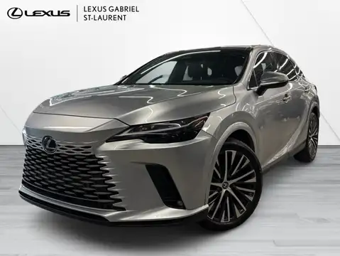 Lexus RX Luxury
