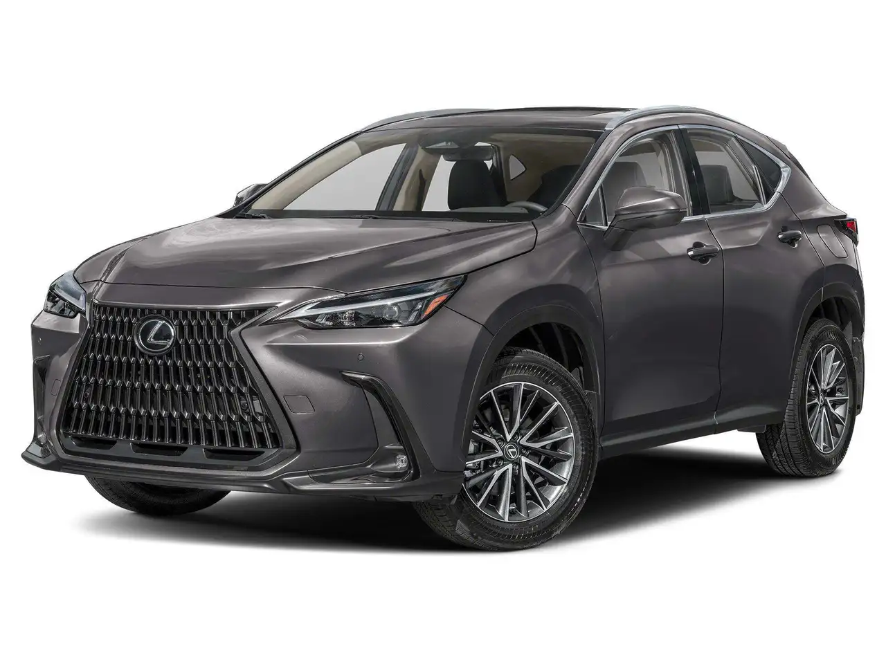 2024 Lexus NX