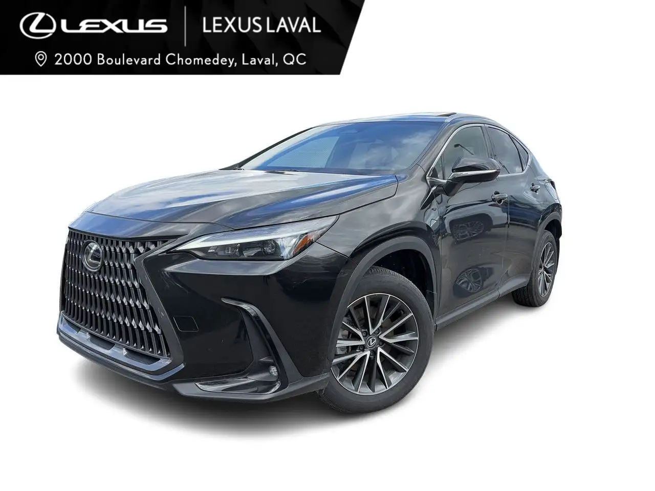 2025 Lexus NX 350h Premium