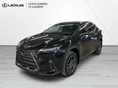 Lexus NX 350 Premium