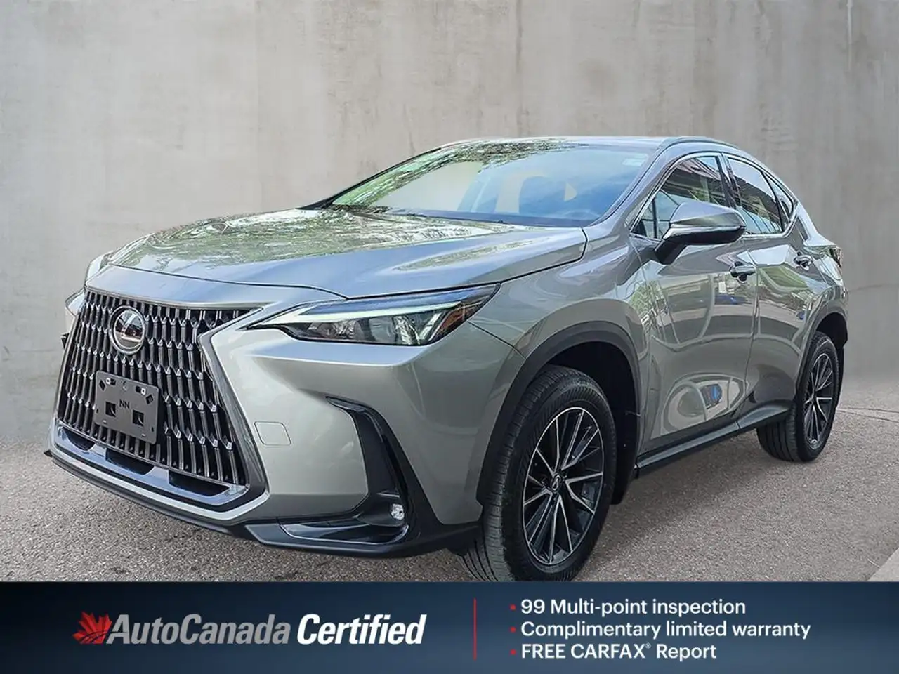 2024 Lexus NX 350 Premium