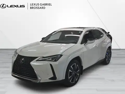 Lexus UX 250h Luxury
