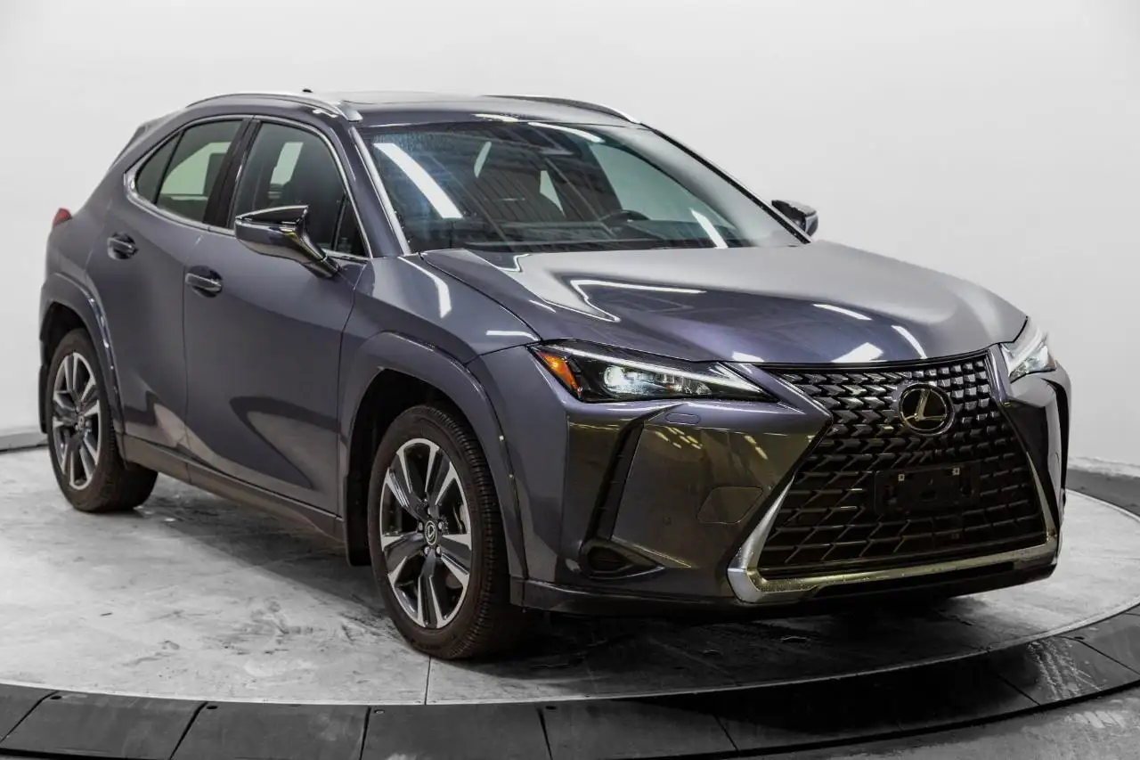 2025 Lexus UX 300h Luxury