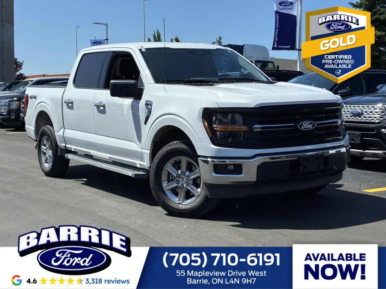 2025 Ford F-150 XLT