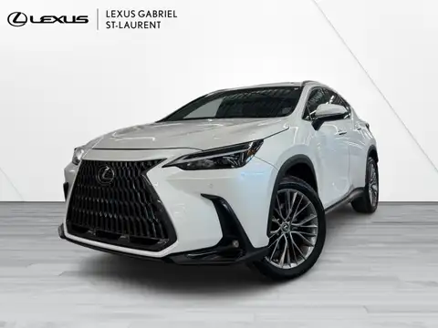 Lexus NX 350h Luxury