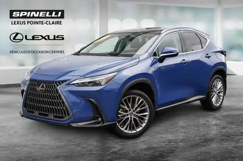 Lexus NX 350 Luxury