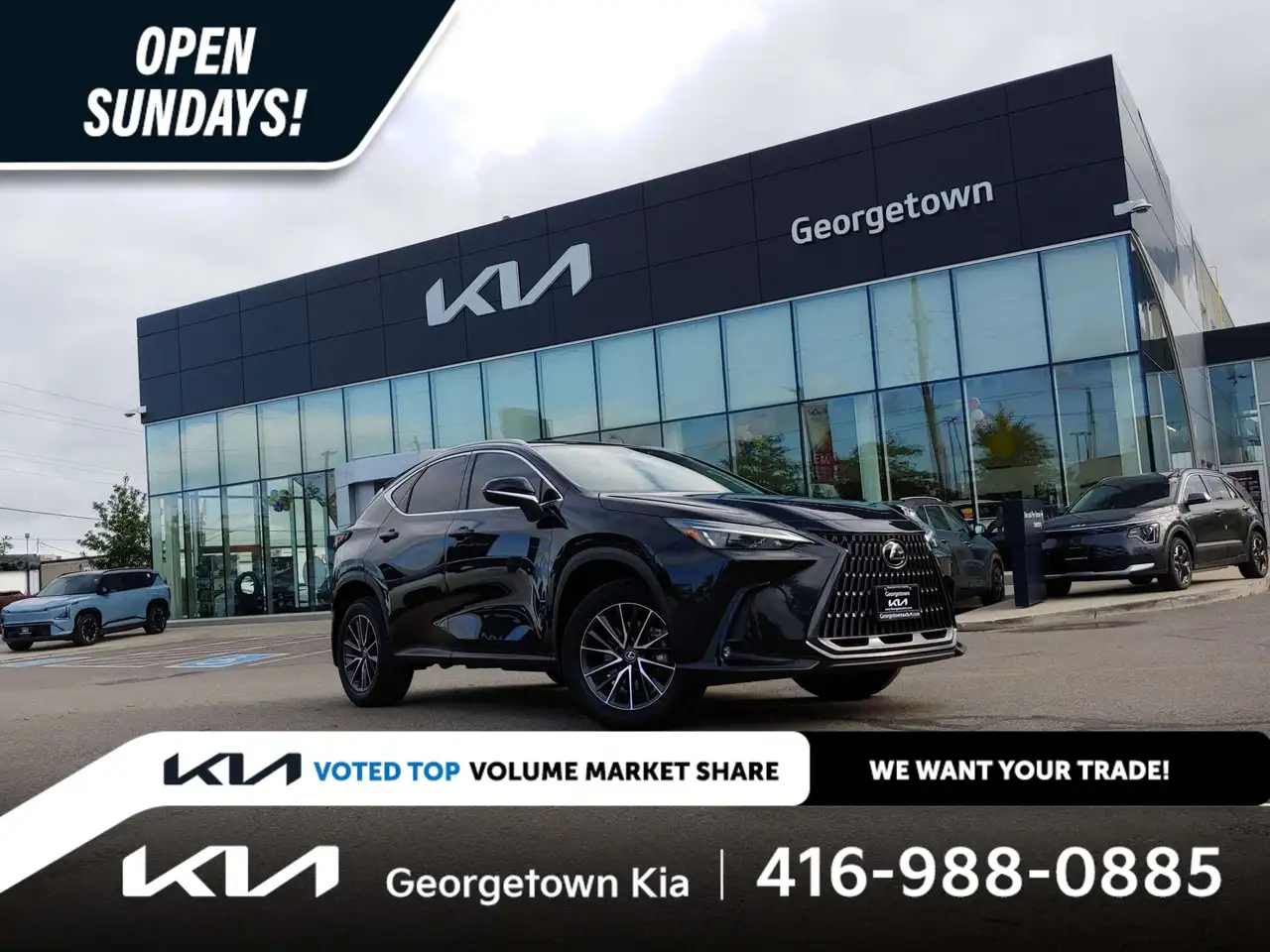 2023 Lexus NX 350h Signature