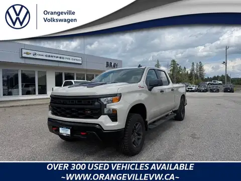 Chevrolet Silverado 1500 Custom Trail Boss